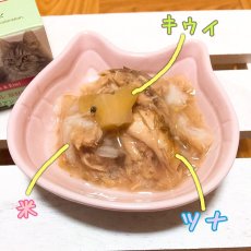 画像2: 最短賞味2026.9・シシア 猫 (ツナ＆キウイ)75g缶 scc355成猫用ウェット キャットフードSchesir正規品 (2)