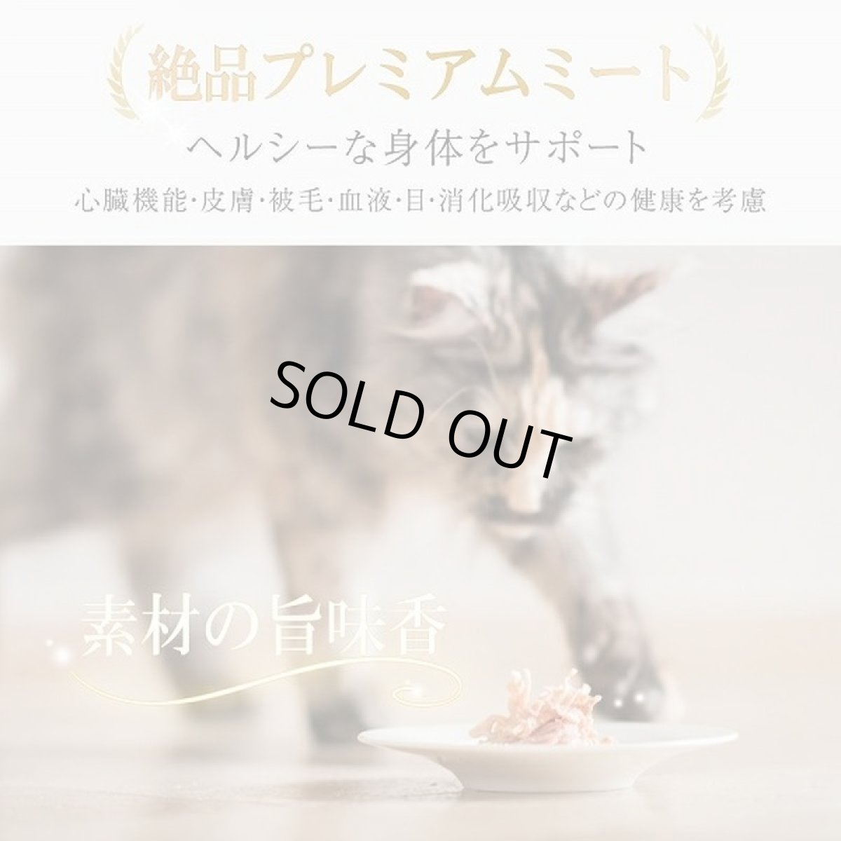 画像3: 最短賞味2028.10・シシア 猫 (ツナwithキウイ)75g缶 scc355成猫用ウェット キャットフード※在庫限り終売 (3)