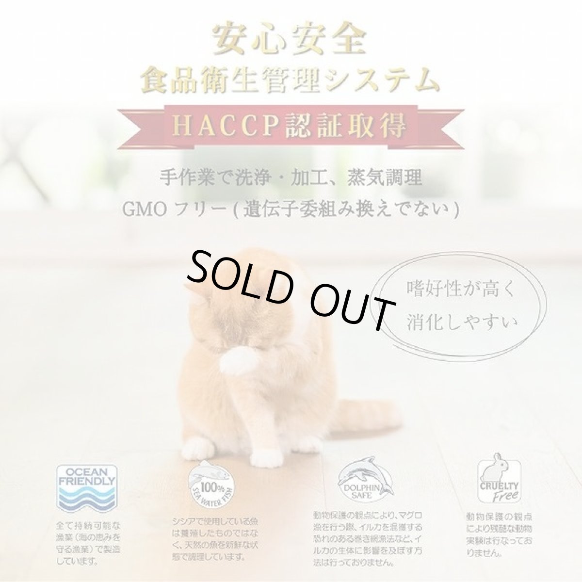 画像4: 最短賞味2028.10・シシア 猫 (ツナwithキウイ)75g缶 scc355成猫用ウェット キャットフード※在庫限り終売 (4)