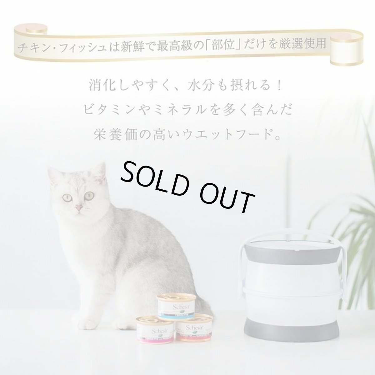画像5: 最短賞味2028.10・シシア 猫 (ツナwithキウイ)75g缶 scc355成猫用ウェット キャットフード※在庫限り終売 (5)