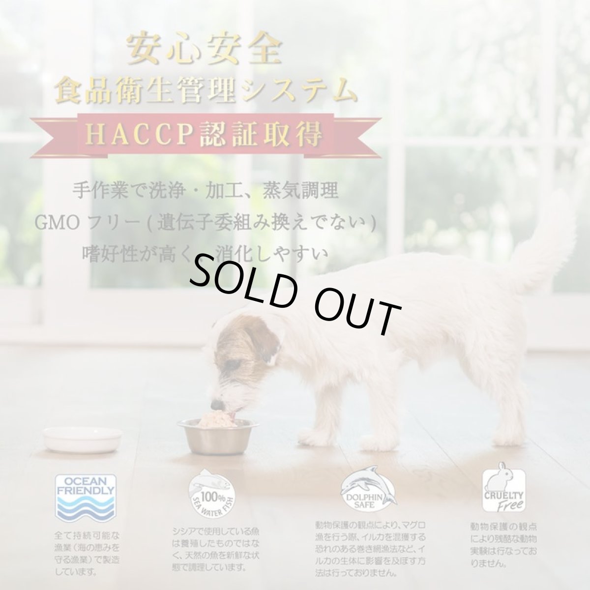 画像4: 最短賞味2027.8・シシア 犬 マルチパック(ツナ＆シーバス)85g×4缶 scc612成犬用ウェットドッグフード Schesir 正規品※在庫限り終売 (4)