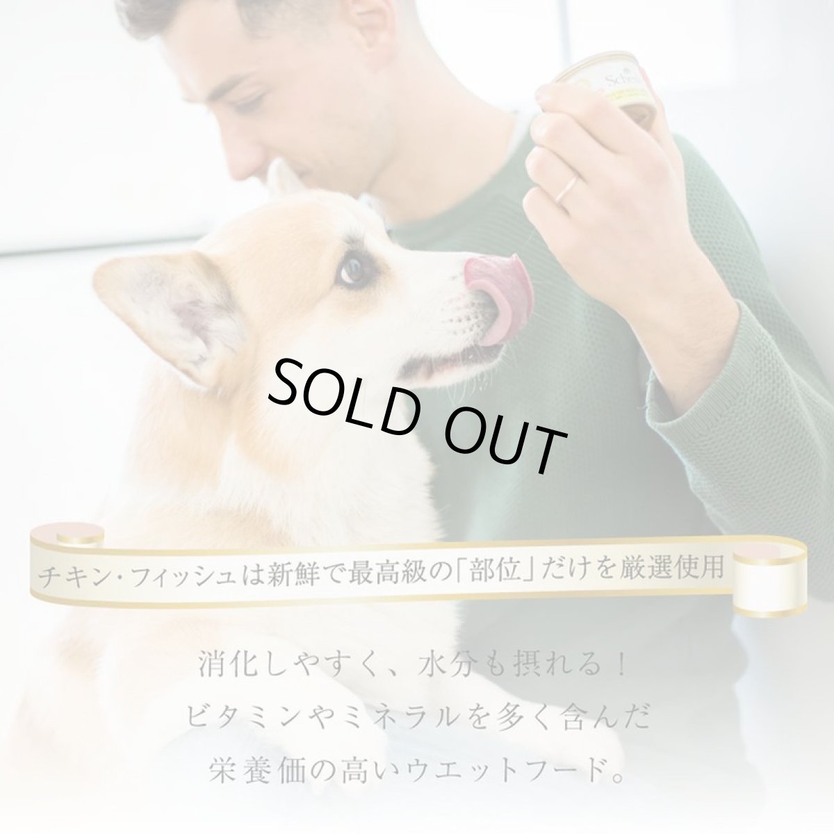 画像5: 最短賞味2027.8・シシア 犬 マルチパック(ツナ＆シーバス)85g×4缶 scc612成犬用ウェットドッグフード Schesir 正規品※在庫限り終売 (5)