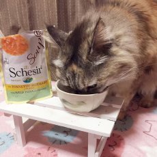 画像4: 最短賞味2025.5・シシア 猫 スープ（ツナ＆パンプキン）85g scc674パウチ 成猫用ウェット一般食 キャットフード Schesir 正規品 (4)