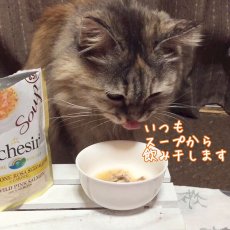 画像3: SALE/最短賞味2025.4・シシア 猫 スープ（ピンクサーモン＆キャロット）85g scc677パウチ 成猫用ウェット一般食 キャットフードSchesir正規品 (3)