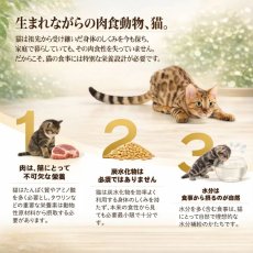画像3: NEW 最短賞味2028.?・シシア 猫 ゼリータイプ パウチ ツナ85g scc71009成猫用総合栄養食キャットフードSchesir正規品 (3)