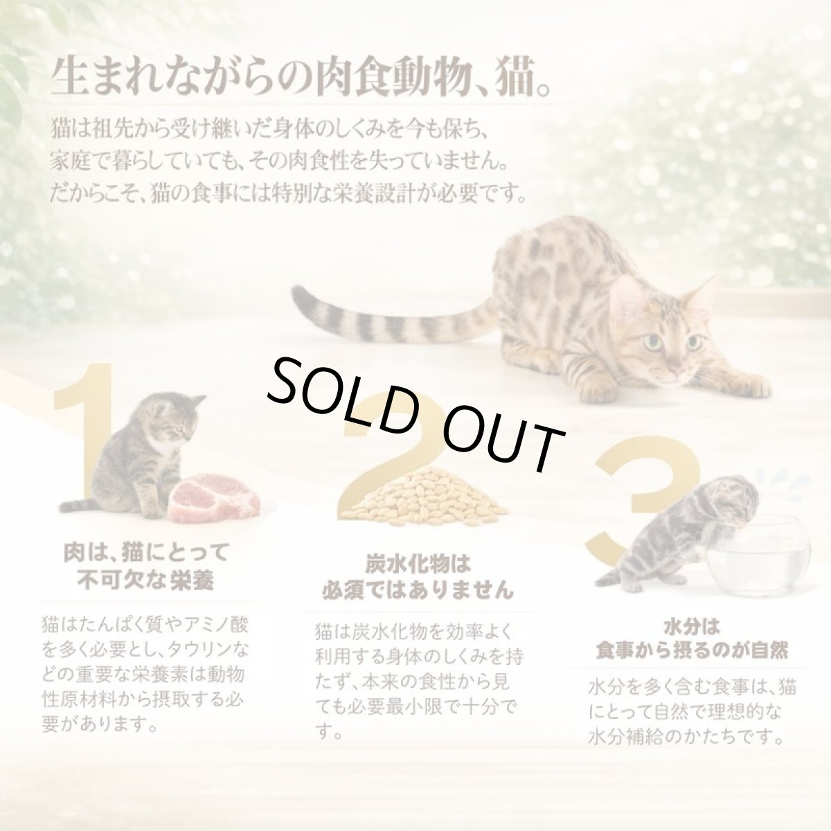 画像3: NEW 最短賞味2028.?・シシア 猫 ゼリータイプ パウチ ツナwithシーブリーム85g scc71122成猫用総合栄養食キャットフードSchesir正規品 (3)