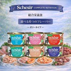 画像6: NEW 最短賞味2028.?・シシア 猫 ゼリータイプ ツナwithサーモン85g缶 scc72853成猫用総合栄養食キャットフードSchesir正規品 (6)