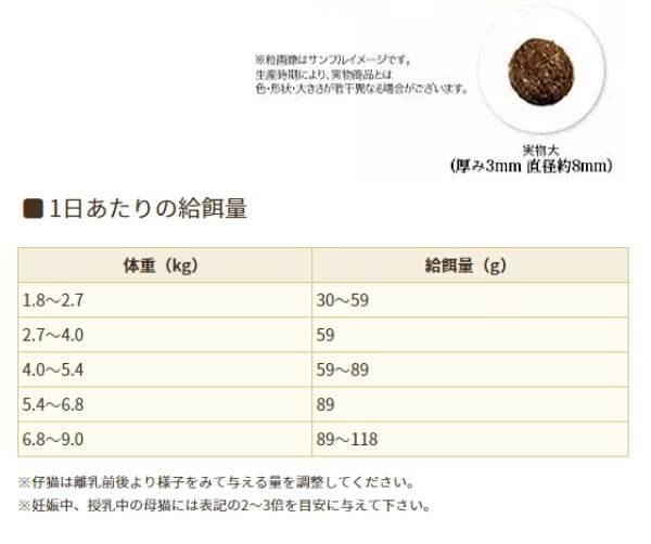 最短賞味2025.11.7・ソリッドゴールド 猫 インディゴムーン 最短賞味2025.11.7・ソリッドゴールド 猫 インディゴムーン