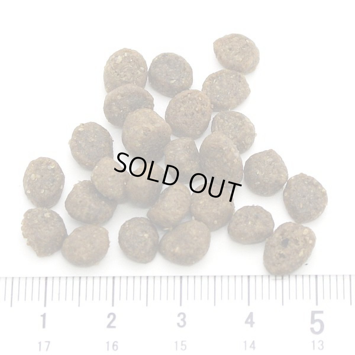 画像2: 最短賞味2027.5.16・ソリッドゴールド 猫 インドアキャット 500gグレインフリーキャットフードSolid Gold正規品sgc63113 (2)