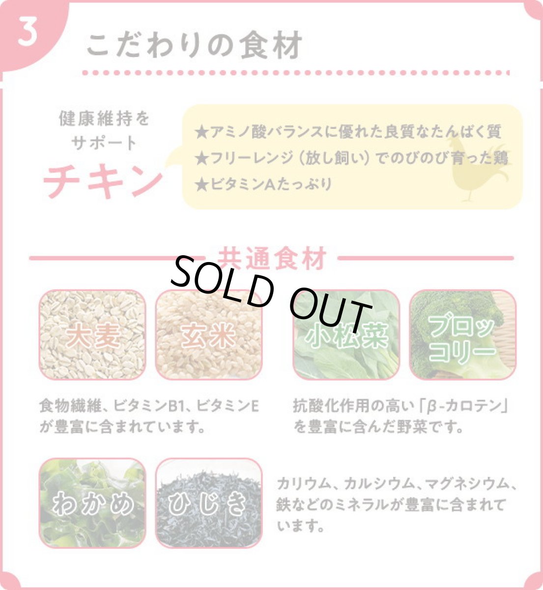 画像6: 最短賞味2026.9.1・Smiley (スマイリー) 国産チキンdeli 600g全年齢犬用一般食ドライ正規品sm34016 (6)