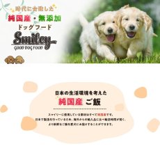 画像8: 最短賞味2026.5.6・Smiley (スマイリー) 国産チキンdeli 600g全年齢犬用一般食ドライ正規品sm34016 (8)