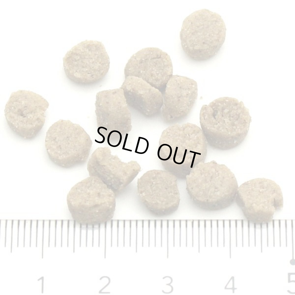 画像3: 最短賞味2026.9.1・スマイリー 国産ポークdeli 600g全年齢犬用一般食ドライ正規品sm34061 (3)