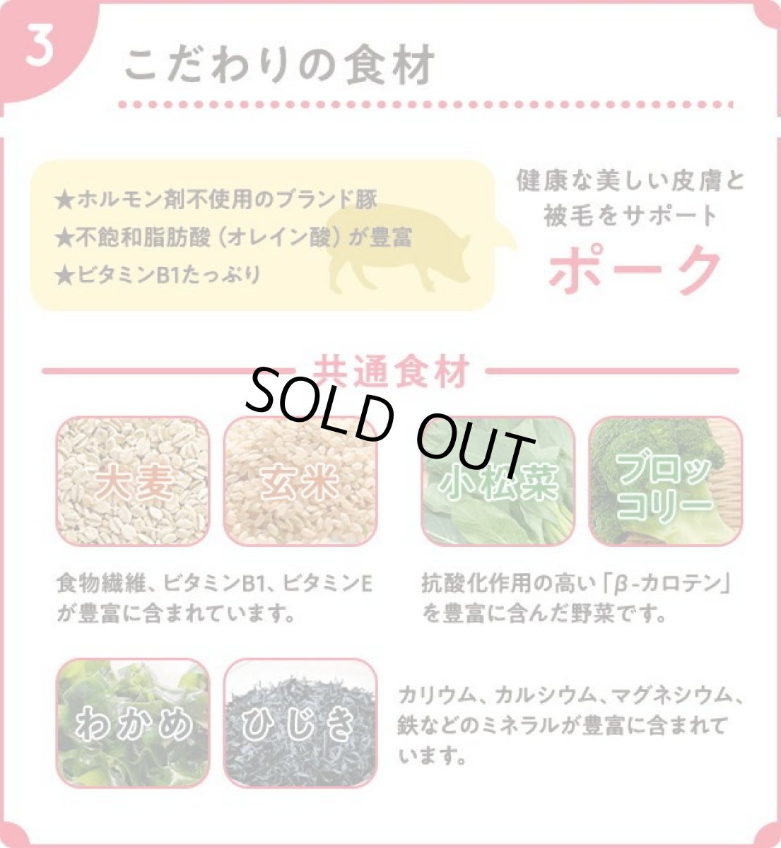 画像6: 最短賞味2026.9.1・スマイリー 国産ポークdeli 600g全年齢犬用一般食ドライ正規品sm34061 (6)