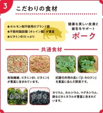 画像6: 最短賞味2026.5.6・スマイリー 国産ポークdeli 600g全年齢犬用一般食ドライ正規品sm34061 (6)