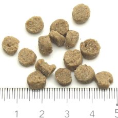 画像2: 最短賞味2026.5.21・スマイリー 国産くじらdeli 600g全年齢犬用一般食ドライ正規品sm34290 (2)
