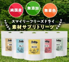 画像6: 最短賞味2027.5・Smiley (スマイリー) フリーズドライ 牡蠣 33g全年齢犬用おやつ 国産無添加sm34412 (6)