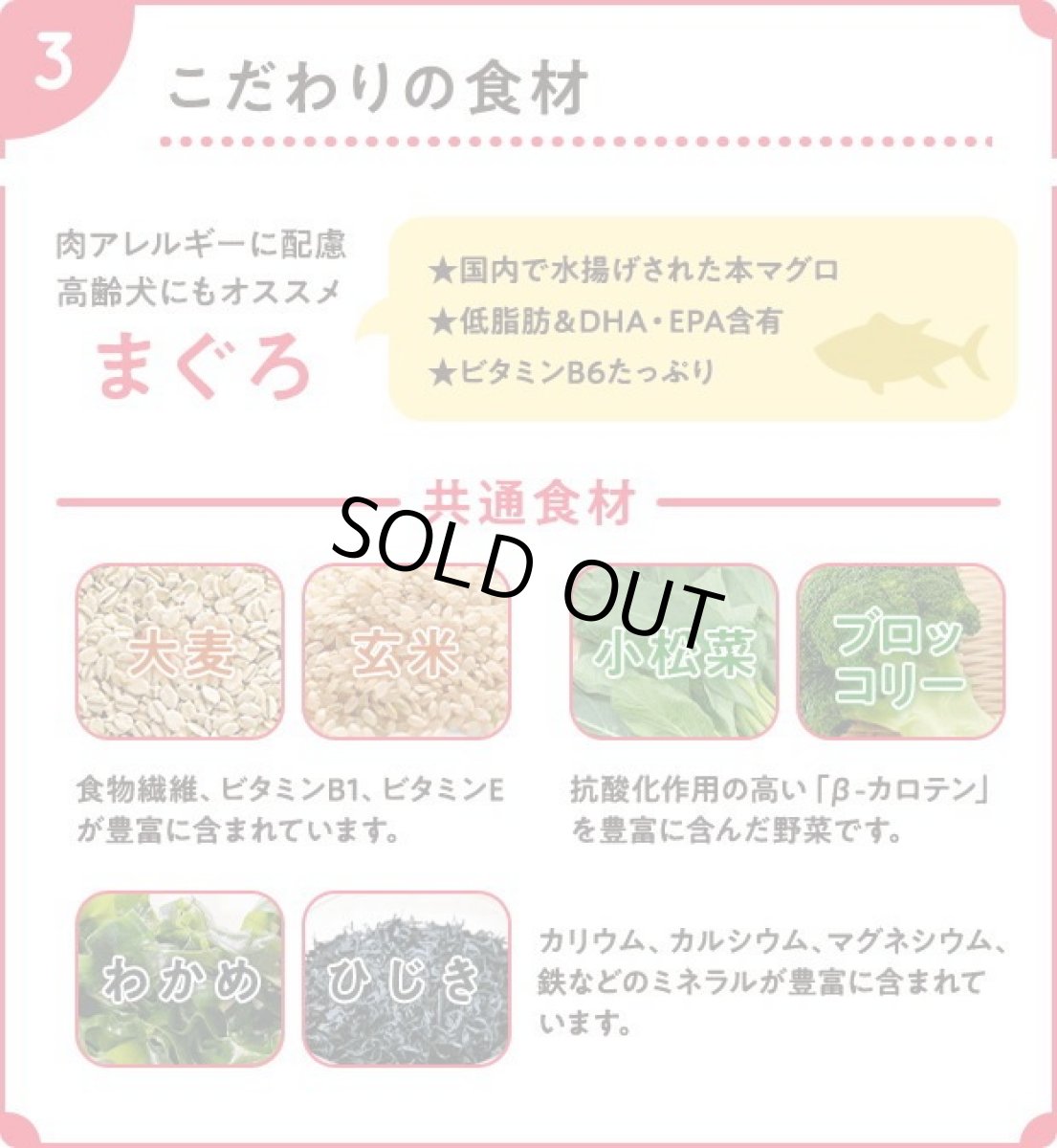 画像5: 最短賞味2026.8.28・Smiley メソッドドッグスマイリーアクティブケア マグロ デリ 600g全年齢犬用ドライ正規品sm35990 (5)