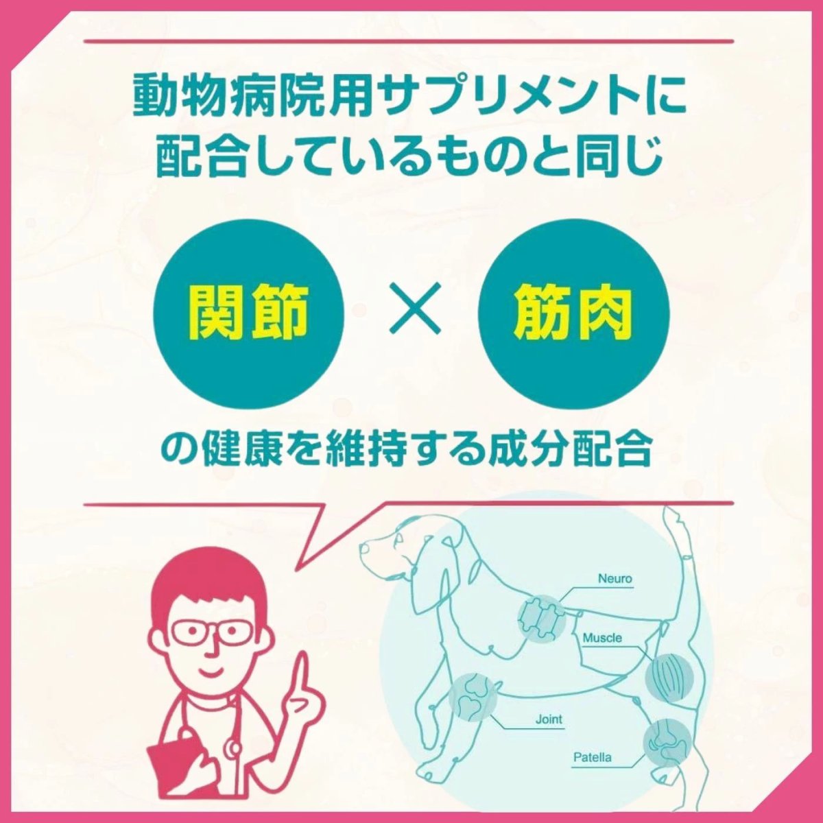 画像3: 最短賞味2026.6・スマイリー アクティブケア チュー まぐろ14枚 犬用おやつ関節ケア 国産sm36041 (3)