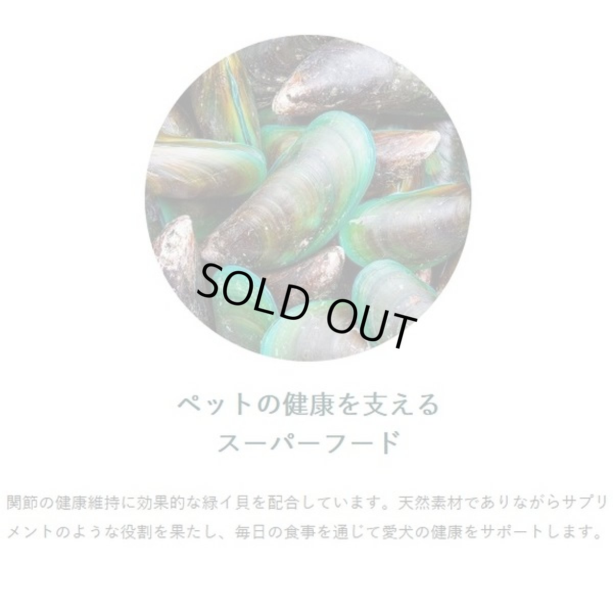 画像5: 最短賞味2026.6.1・ソウルメイト 猫エアドライフード シーフード500g 全年齢猫用総合栄養食som80343 (5)