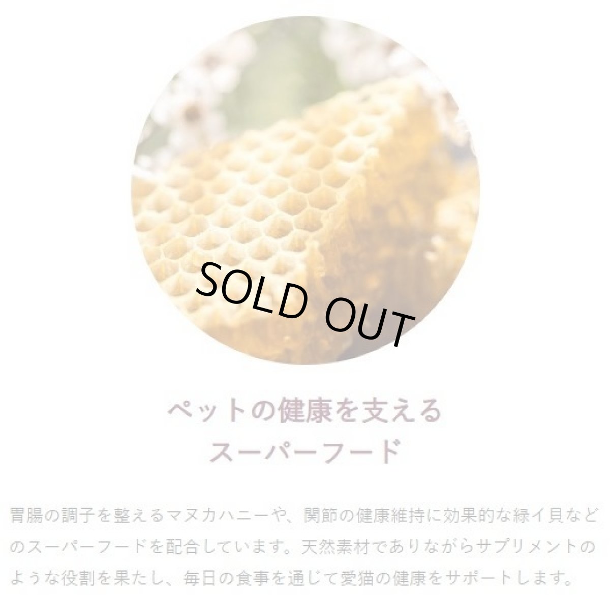 画像5: 最短賞味2026.3.23・ソウルメイト 猫フリーズドライフード シーフード400g 全年齢猫用総合栄養食som80527 (5)