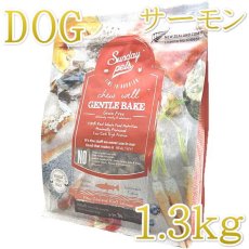 画像1: 最短賞味2026.8.17・サンデーペッツ ジェントルベイク グレインフリー キングサーモン1.3kg小中型成犬用ドッグフードsp37100正規品 (1)