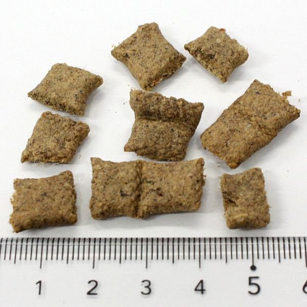 【(๑・̑◡・̑๑) プロフ欄ご確認下さい】サンデーペッツ キャット　3袋 最短賞味2026.9.28・サンデーペッツ 猫 ジェントルベイク ビーフ