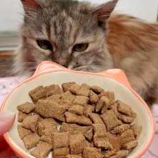 画像5: 最短賞味2026.9.28・サンデーペッツ 猫 お試しサンプル ホキ ウイズ トライプ20g成猫用sp37193sa正規品 (5)