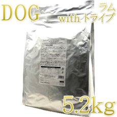 画像1: NEW 最短賞味2026.8.21・サンデーペッツ ジェントルベイク ラム ウイズ トライプ5.2kg小中型成犬用ドッグフードsp50731限定企画品 (1)