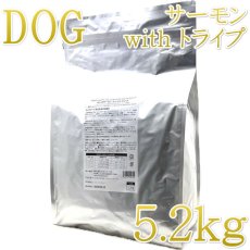 画像1: NEW 最短賞味2026.10.7・サンデーペッツ ジェントルベイク キングサーモン ウイズ トライプ5.2kg小中型成犬用ドッグフードsp50755限定企画品 (1)