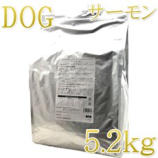 画像1: NEW 最短賞味2026.5.28・サンデーペッツ ジェントルベイク グレインフリー キングサーモン5.2kg小中型成犬用ドッグフードsp50779限定企画品 (1)