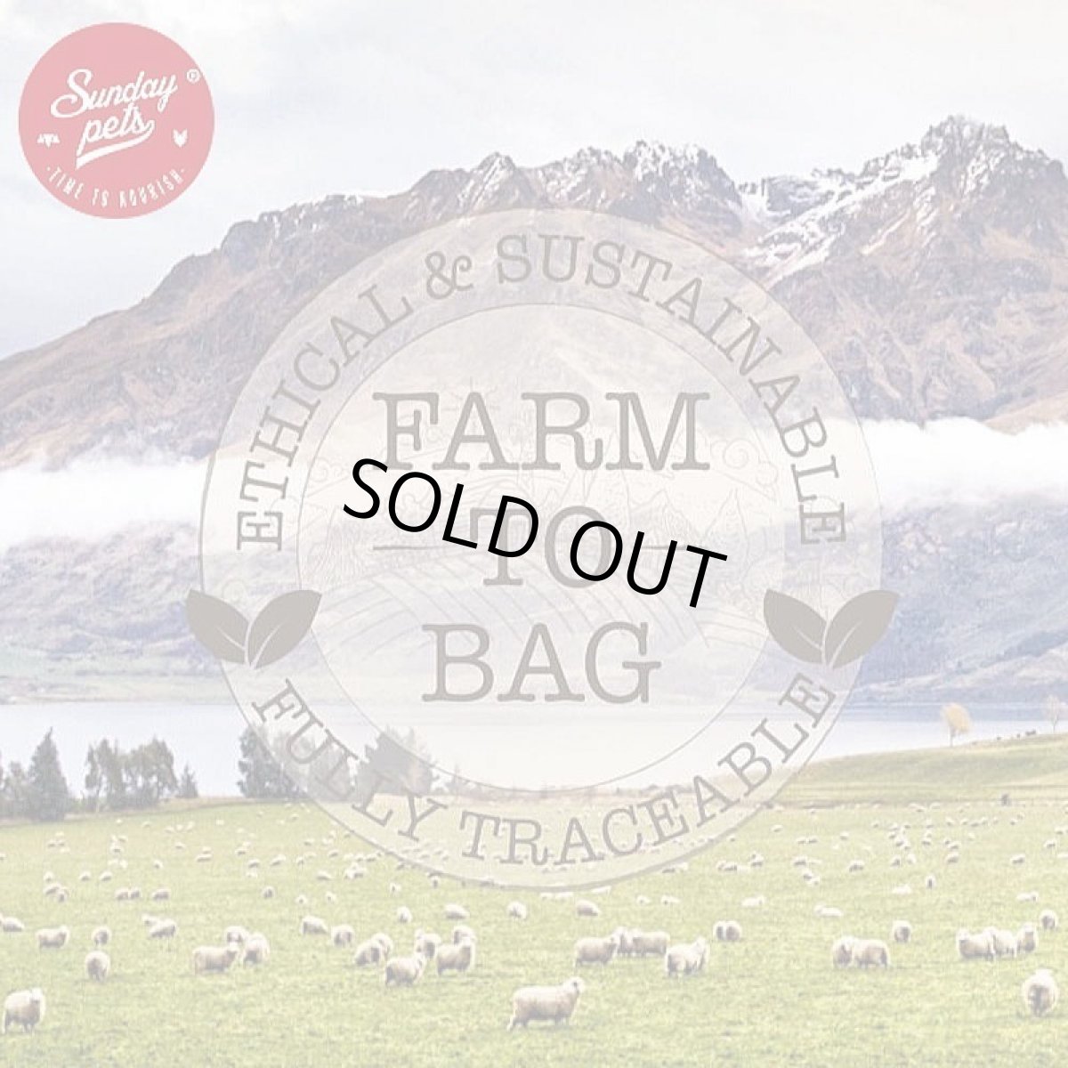 画像8: NEW 最短賞味2026.8.19・サンデーペッツ ジェントルベイク グレインフリー キングサーモン5.2kg小中型成犬用ドッグフードsp50779限定企画品 (8)