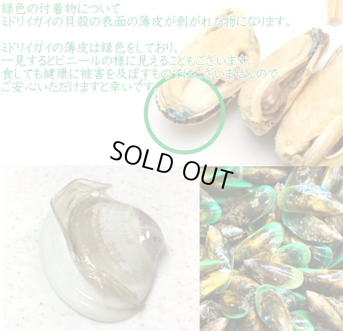 画像4: 最短賞味2025.10・サンデーペッツ NZグリーンリップド50g緑イ貝フリーズドライおやつsp99758正規品 (4)