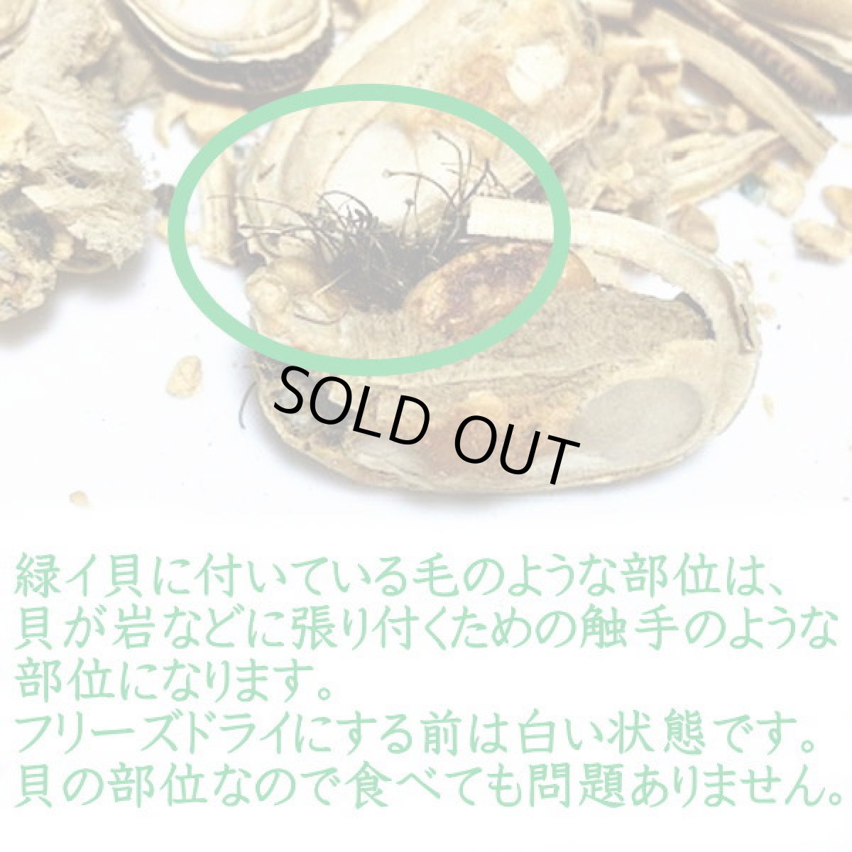 画像5: 最短賞味2025.10・サンデーペッツ NZグリーンリップド50g緑イ貝フリーズドライおやつsp99758正規品 (5)