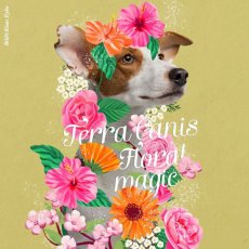画像6: NEW 最短賞味2027.10・テラカニス フラワーメニュー イングリッシュローズ 400g缶 成犬用一般食TerraCanis正規品 tc09287 (6)