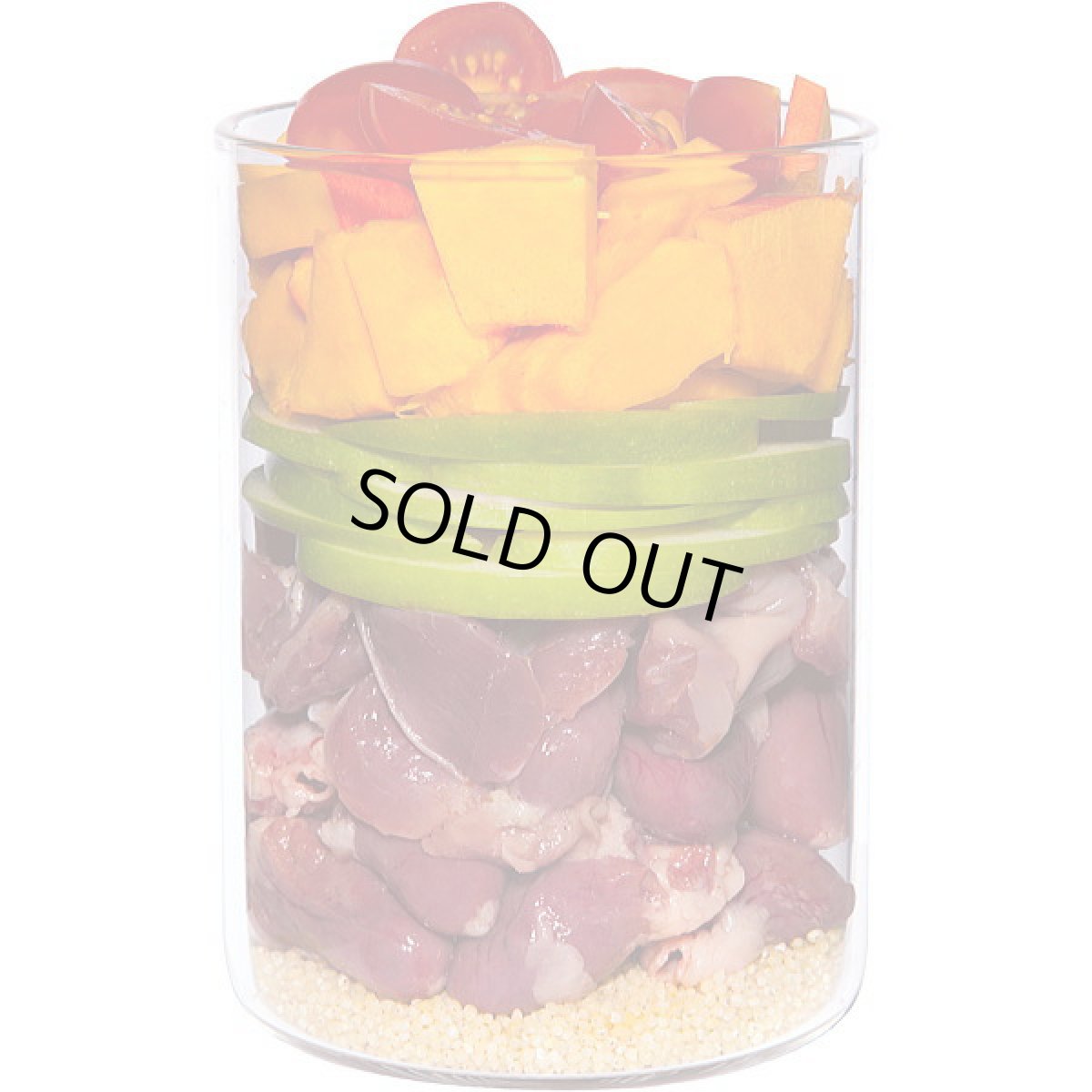 画像2: 最短賞味2028.2・テラカニス 犬 パピー チキンとカボチャ400g缶コンプリート食TerraCanis正規品tc20684 (2)