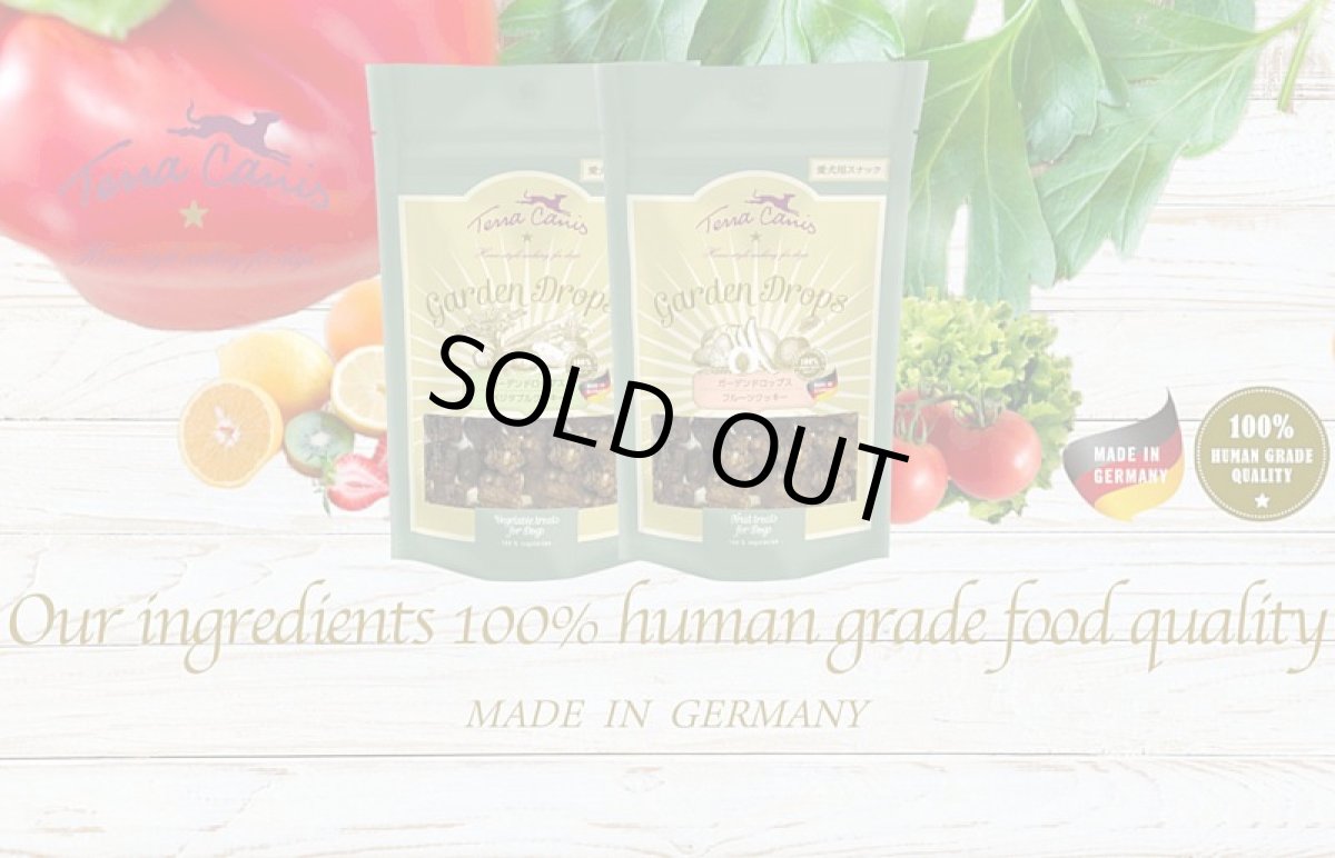 画像5: 最短賞味2026.4・テラカニス ガーデンドロップス ベジタブルクッキー50g犬用おやつtc71134 (5)