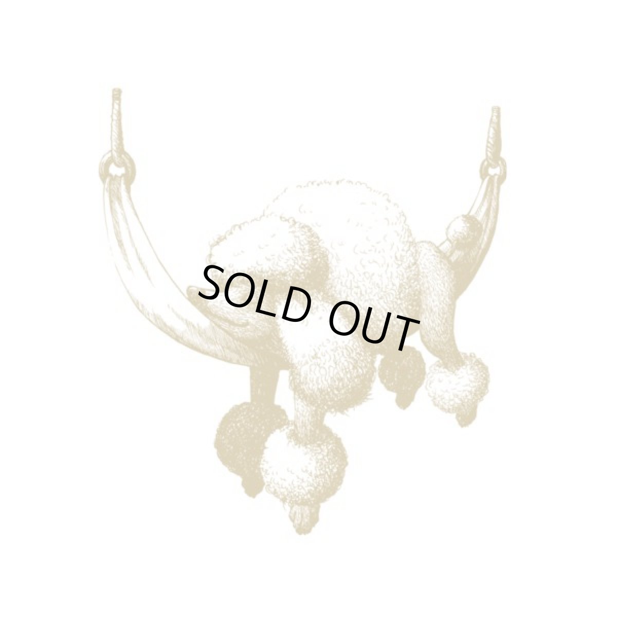 画像2: 最短賞味2026.4・テラカニス ハーバルヒーローズ ロック ア プードル 0.4g×30包 胃腸の健康維持TerraCanis正規品tc71356 (2)