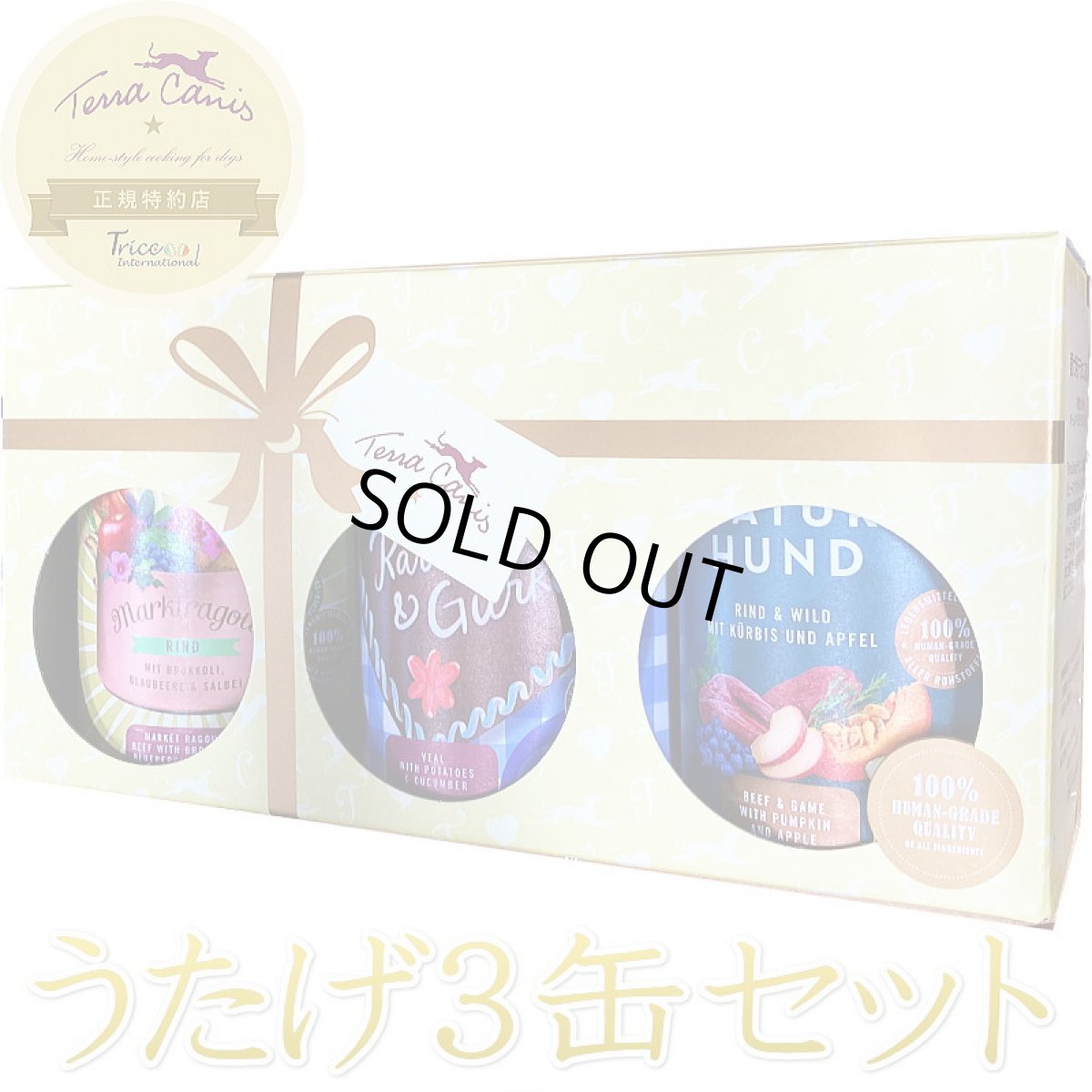 画像1: NEW 最短賞味2027.12・テラカニス 犬うたげ3缶セット数量限定 牛ベース3缶TerraCanis 正規品tc72650 (1)
