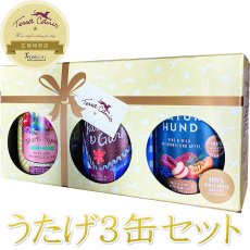 画像1: NEW 最短賞味2027.12・テラカニス 犬うたげ3缶セット数量限定 牛ベース3缶TerraCanis 正規品tc72650 (1)