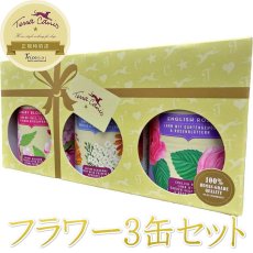 画像1: NEW 最短賞味2027.10・テラカニス フラワーギフトボックス3缶セット 成犬用一般食TerraCanis正規品 tc72667 (1)