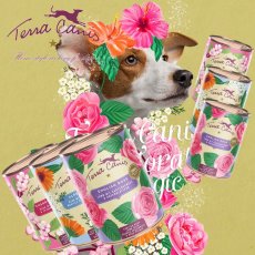 画像2: NEW 最短賞味2027.10・テラカニス フラワーギフトボックス3缶セット 成犬用一般食TerraCanis正規品 tc72667 (2)