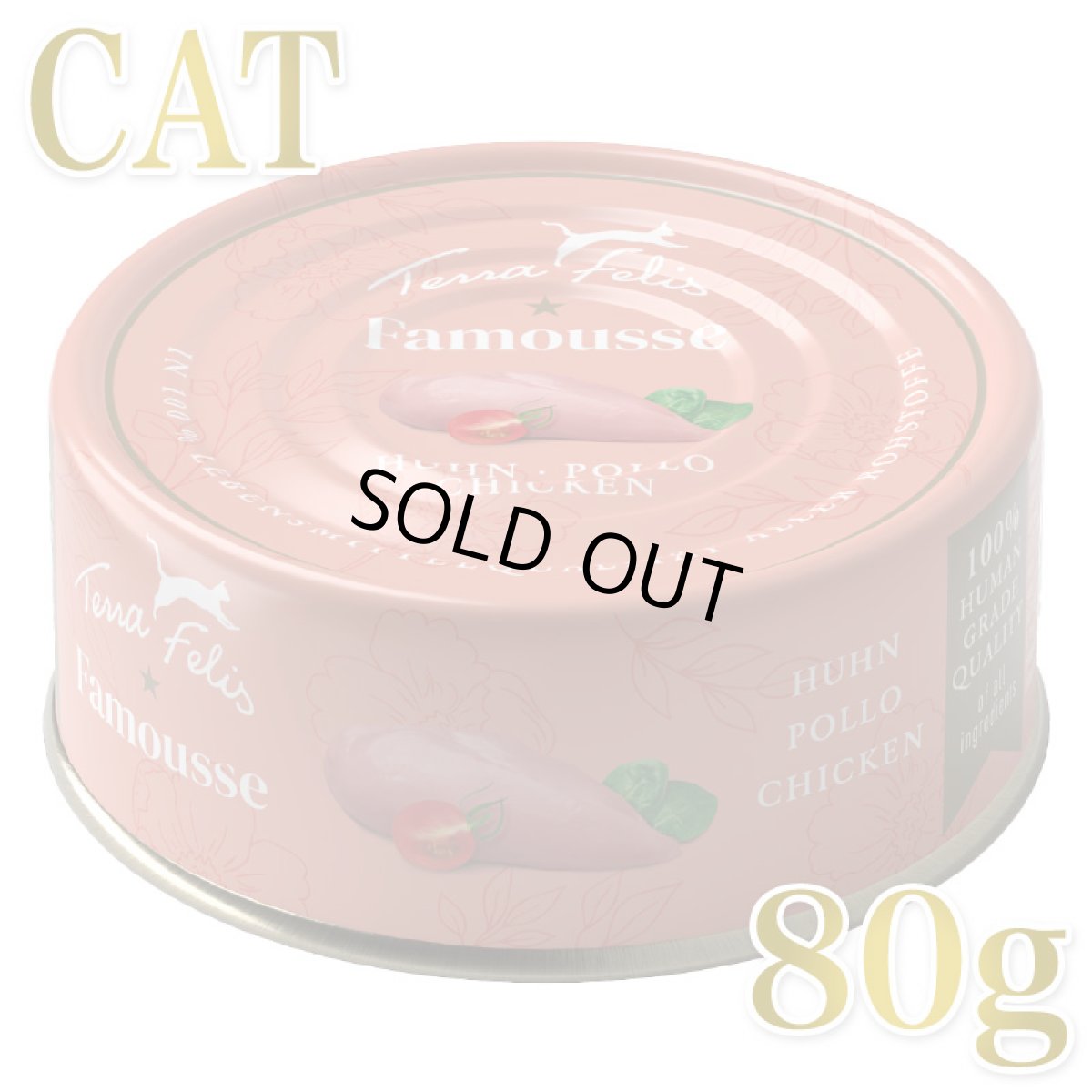 画像1: 最短賞味2028.8・テラフェリス モノプロテイン チキン80g/tf09560成猫用コンプリート食ウェット正規品 (1)