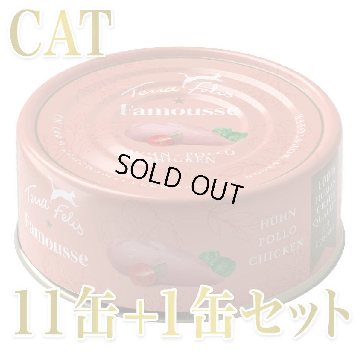 画像1: 最短賞味2028.8・テラフェリス モノプロテイン チキン80g×12缶/tf09560成猫用コンプリート食ウェット正規品 (1)