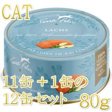 画像1: 最短賞味2027.6・テラフェリス モノプロテイン サーモン80g×12缶/tf09584成猫用一般食ウェット正規品 (1)