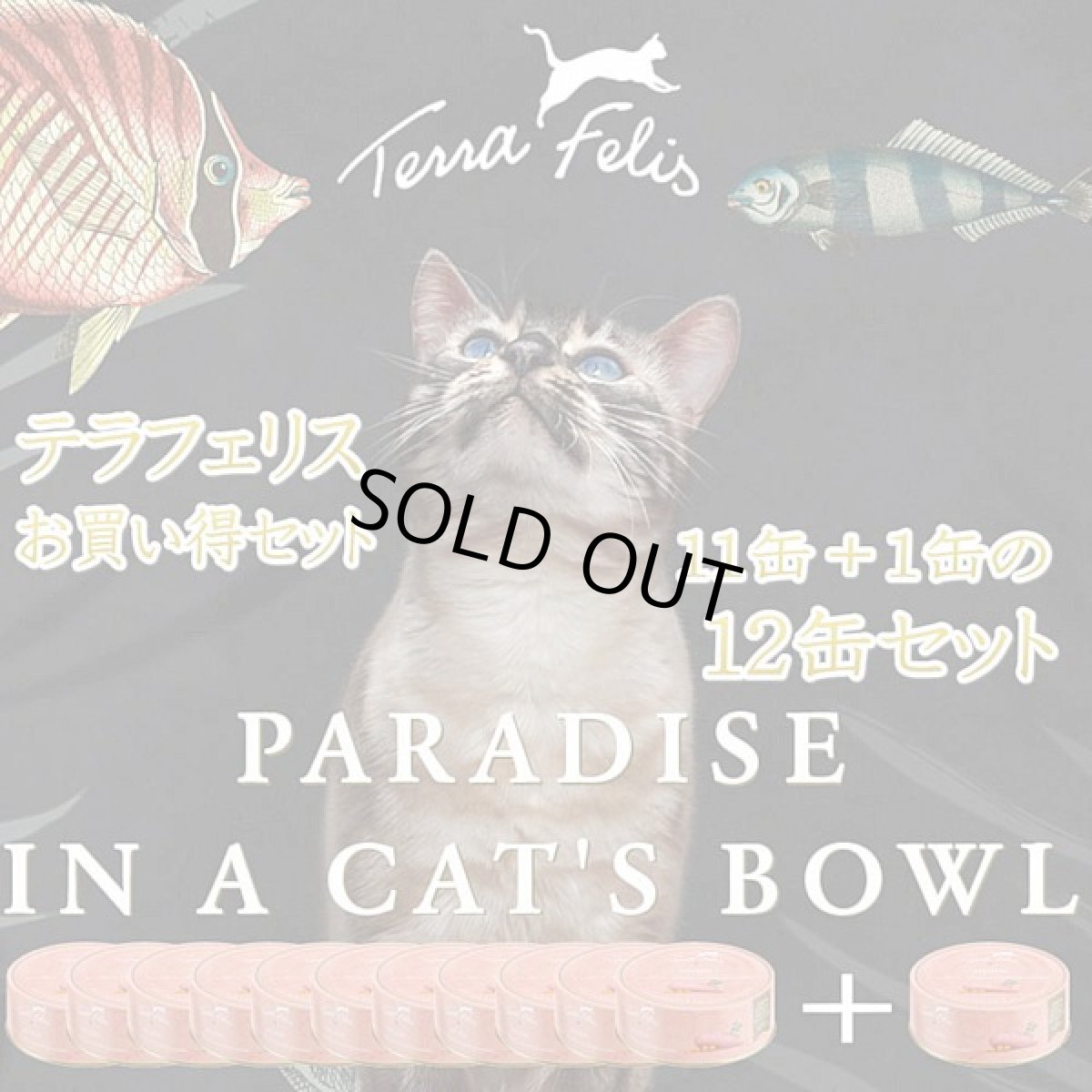 画像4: 最短賞味2027.7・テラフェリス マルチプロテイン ラム＆チキン80g×12缶/tf09614成猫用コンプリート食ウェット正規品 (4)