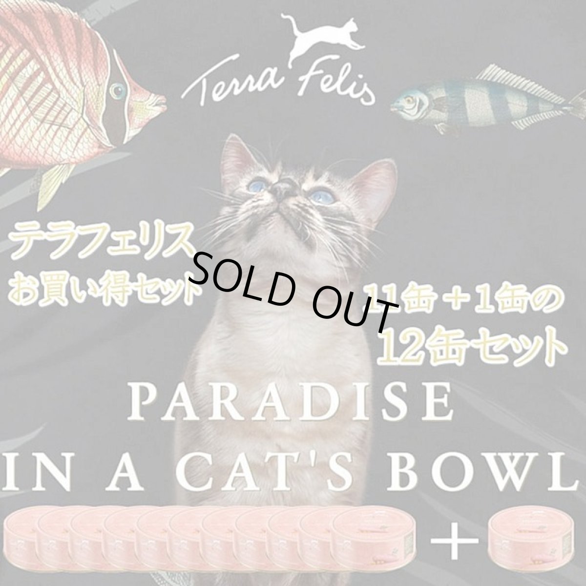 画像4: 最短賞味2027.6・テラフェリス マルチプロテイン チキン＆ターキー80g×12缶/tf09621成猫用コンプリート食ウェット正規品※新旧パッケージ混在する場合あり (4)