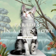 画像7: 最短賞味2028.4・テラフェリス マルチプロテイン ビーフ＆ラビット80g缶tf09652成猫用コンプリート食ウェット正規品※新旧パッケージ混在する場合あり (7)