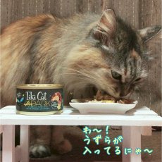 画像8: 最短賞味2025.8・ティキキャット アフターダーク チキン＆うずらたまご コンソメ仕立て 80g缶 全年齢猫ウェット総合栄養食キャットフードti80309※輸入元在庫限りで取り扱い終了 (8)