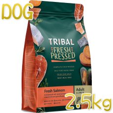 画像1: 最短賞味2025.1.12・トライバル フレッシュ サーモン 2.5kg 成犬用ドライ ドッグフードTRIBAL正規品tr11724 (1)