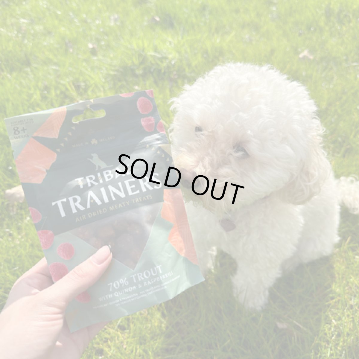 画像3: 最短賞味2026.8・トライバル エアドライトリーツ トラウト80g 犬用おやつtr12875 (3)